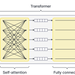 Transformer layer. The transformer layer takes a series of embeddings (here representing words) as input and returns a set of modified embeddings. It first combines these via a self-attention mechanism and then processes each separately using identical fully connected neural networks.